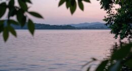 ambient sound level decrease