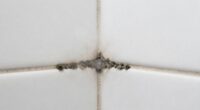 preventing bathroom mold growth