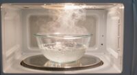 steam cleaning microwave