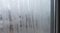 window moisture and remedies