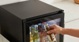 10 Best Beverage Cooler Undercounter in 2026