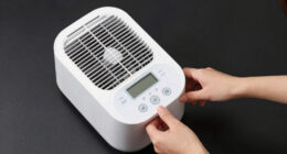 10 Best Dehumidifier For Crawl Space In 2026
