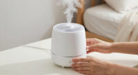 10 Best Dust Humidifiers for Bedroom in 2026