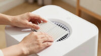 10 Best for Apartments Replacement Air Purifier Filter in 2026