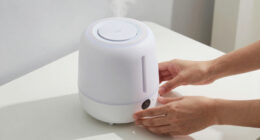 10 Best for Hot Sleepers Humidifier for Sleeping in 2026