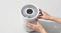 11 Best for Wildfire Smoke Air Purifier for Allergies in 2026