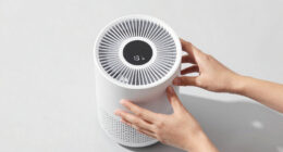 11 Best for Wildfire Smoke Air Purifier for Allergies in 2026