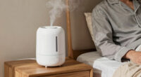 11 Best Premium Humidifier for Bedroom in 2026