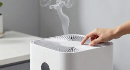12 Best Air Purifier for Smoke in 2026 — Clear Indoor Air