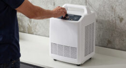 12 Best Dehumidifier for Basement 70 Pint in 2026