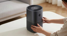 13 Best Quiet Air Purifier For Large Room In 2026
