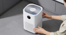 5 Best Dehumidifier for Basement in 2026