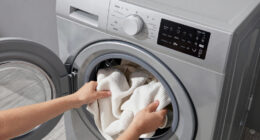 5 Best Dryer Electric High Capacity in 2026