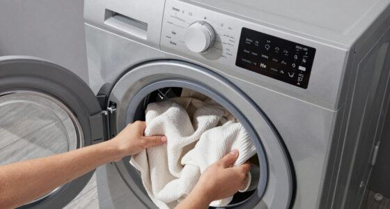 5 Best Dryer Electric High Capacity in 2026