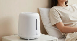 6 Best White Noise Machines in 2026
