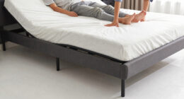8 Best Adjustable Bed Frame Queen in 2026
