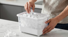 8 Best Best Countertop Nugget Ice Maker in 2026