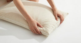 8 Best Best Duvet Insert All Season in 2026