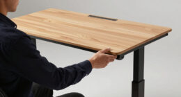 8 Best Standing Desk Under 500 in 2026