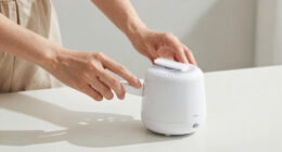 8 Best Value Humidifier Cleaning Kits in 2026
