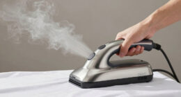 9 Best Best Garment Steamer Professional in 2026