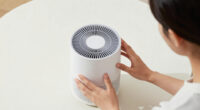 9 Best Quiet Air Purifier For Allergies In 2026