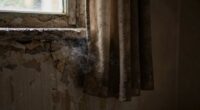 causes and remedies for musty odors