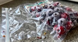 common vacuum sealing errors