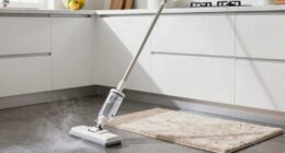 effective steam mop locations