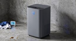 when to upgrade dehumidifier