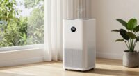 wildfire smoke allergy purifier