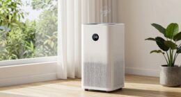 wildfire smoke allergy purifier